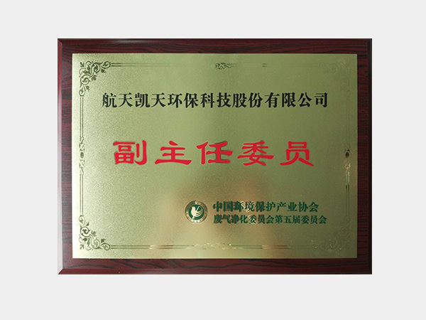 中國環(huán)保產業(yè)協(xié)會副主任委員